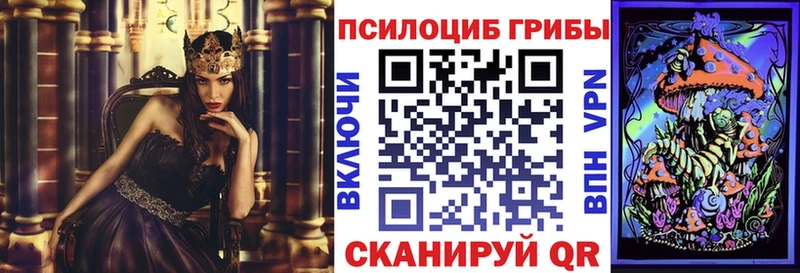 сайты даркнета наркотические препараты Карабулак Галлюциногенные грибы MAGIC MUSHROOMS
